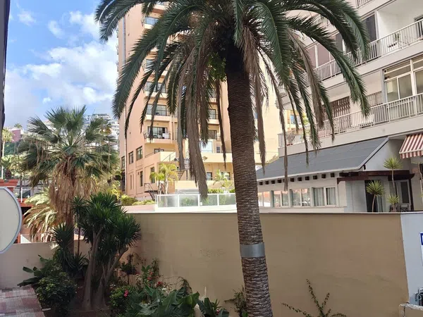 Estudio en Familia Betancourt y molina, 26 - Foto 13