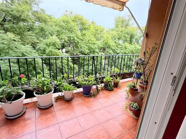 Piso en Barrio Centro - Foto 5