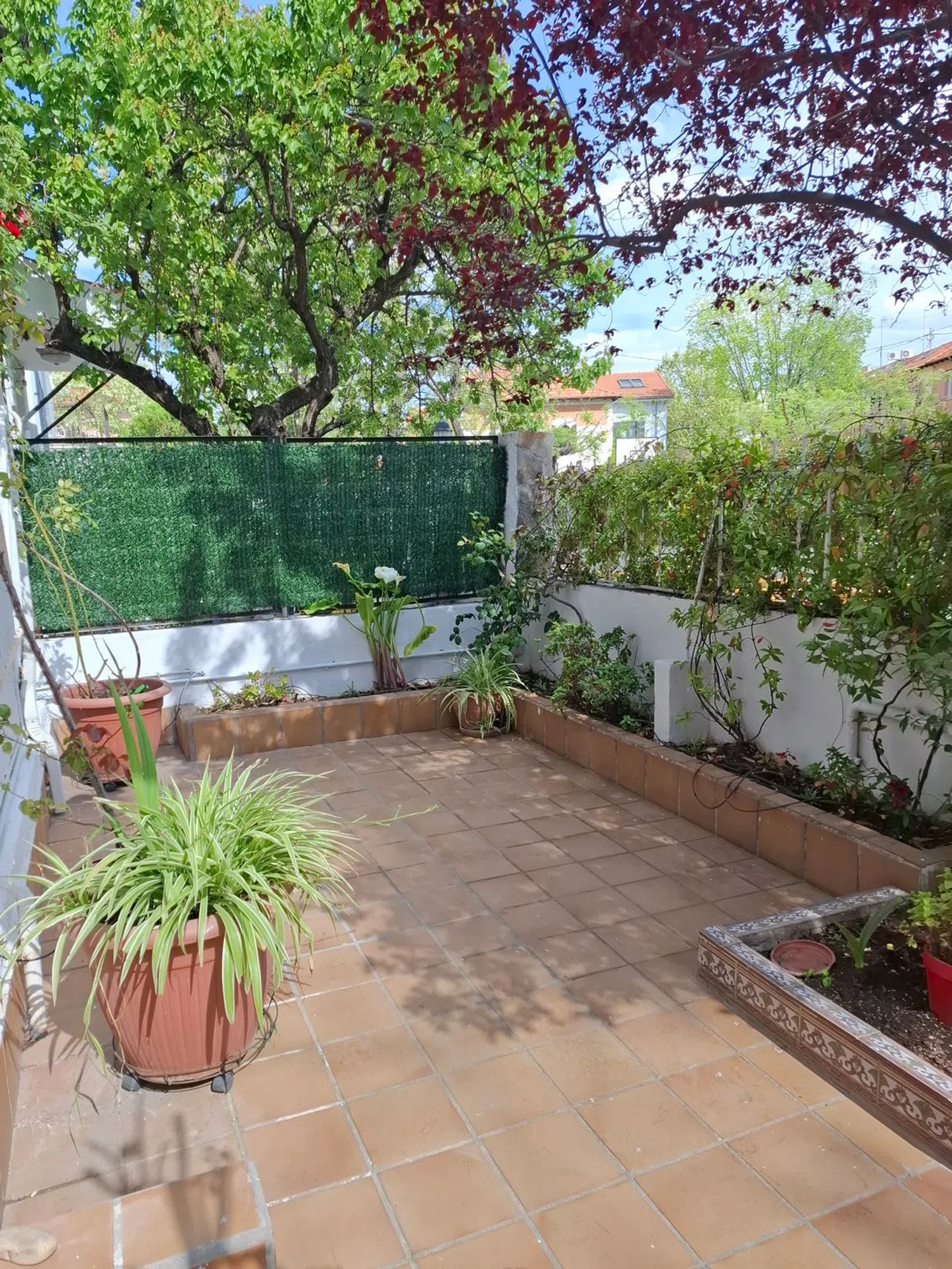 Chalet pareado en Barrio Ciudad Jardín - Foto 22