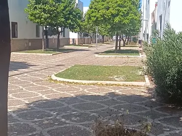 Planta baja en  Pasaje Albert Einstein 35 - Foto 3