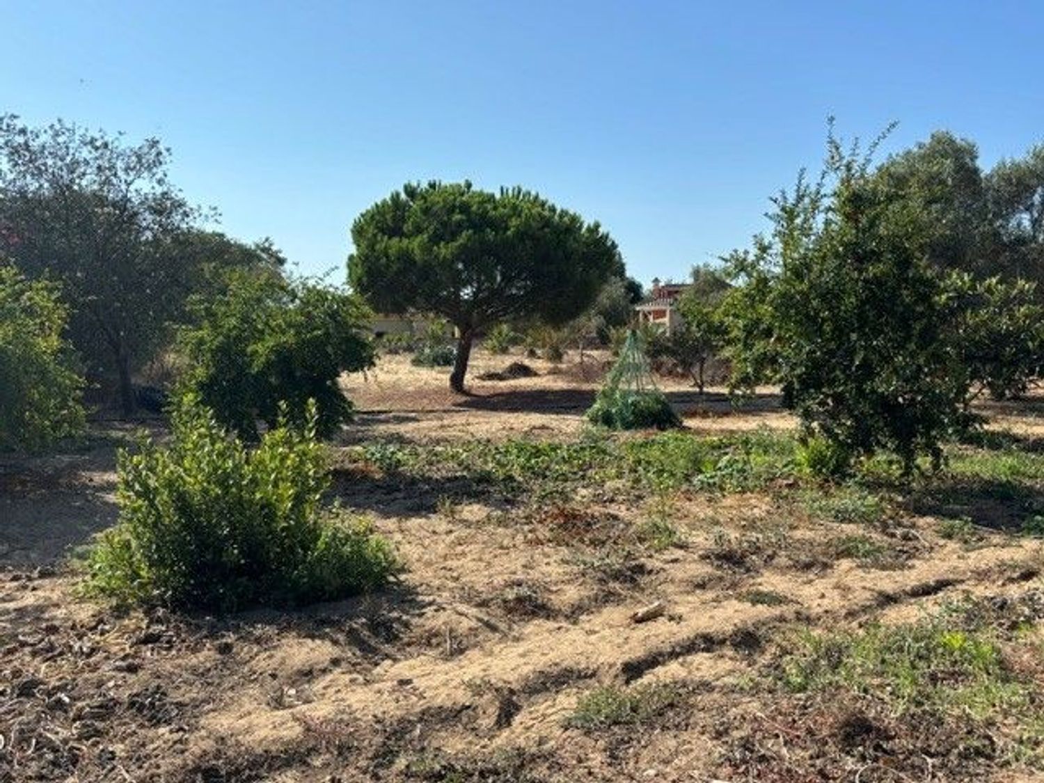 Casa o chalet independiente en Calle Vison, 13, Cuatro Pinos-El Carmen - Foto 33
