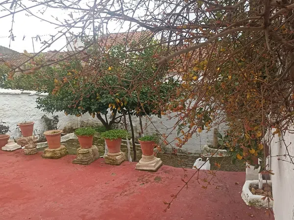 Casa de pueblo en Calle Castelar, 2 - Foto 18