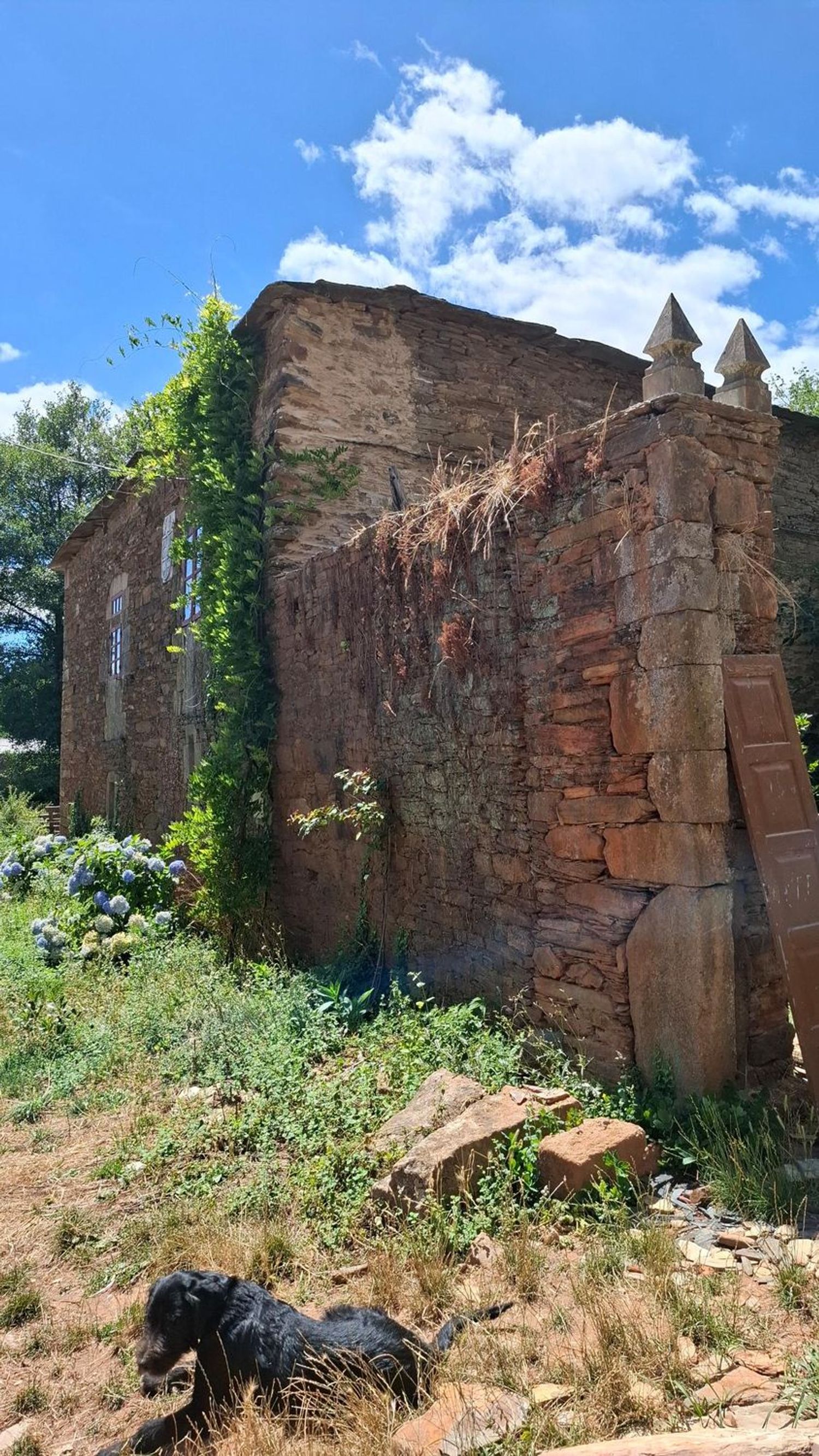 Palacio en Palacio en Monforte de Lemos - Foto 16
