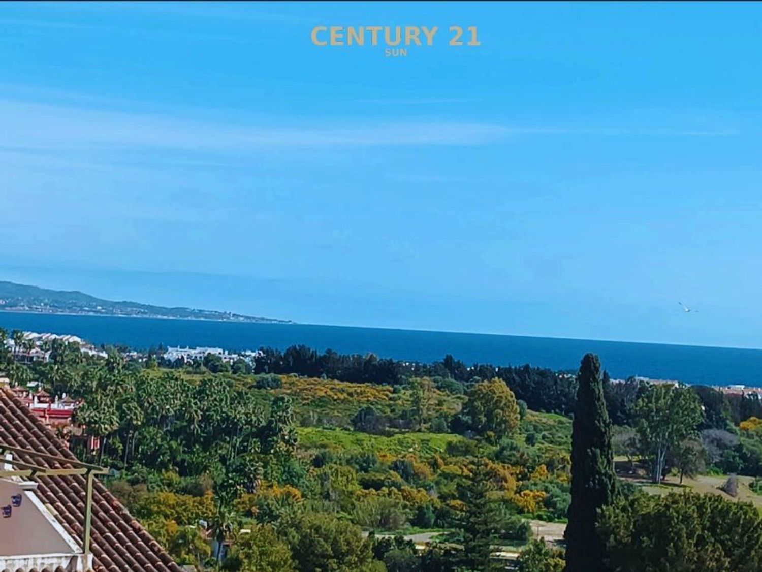 Dúplex en calle de las Adelfas s/n - Foto 21