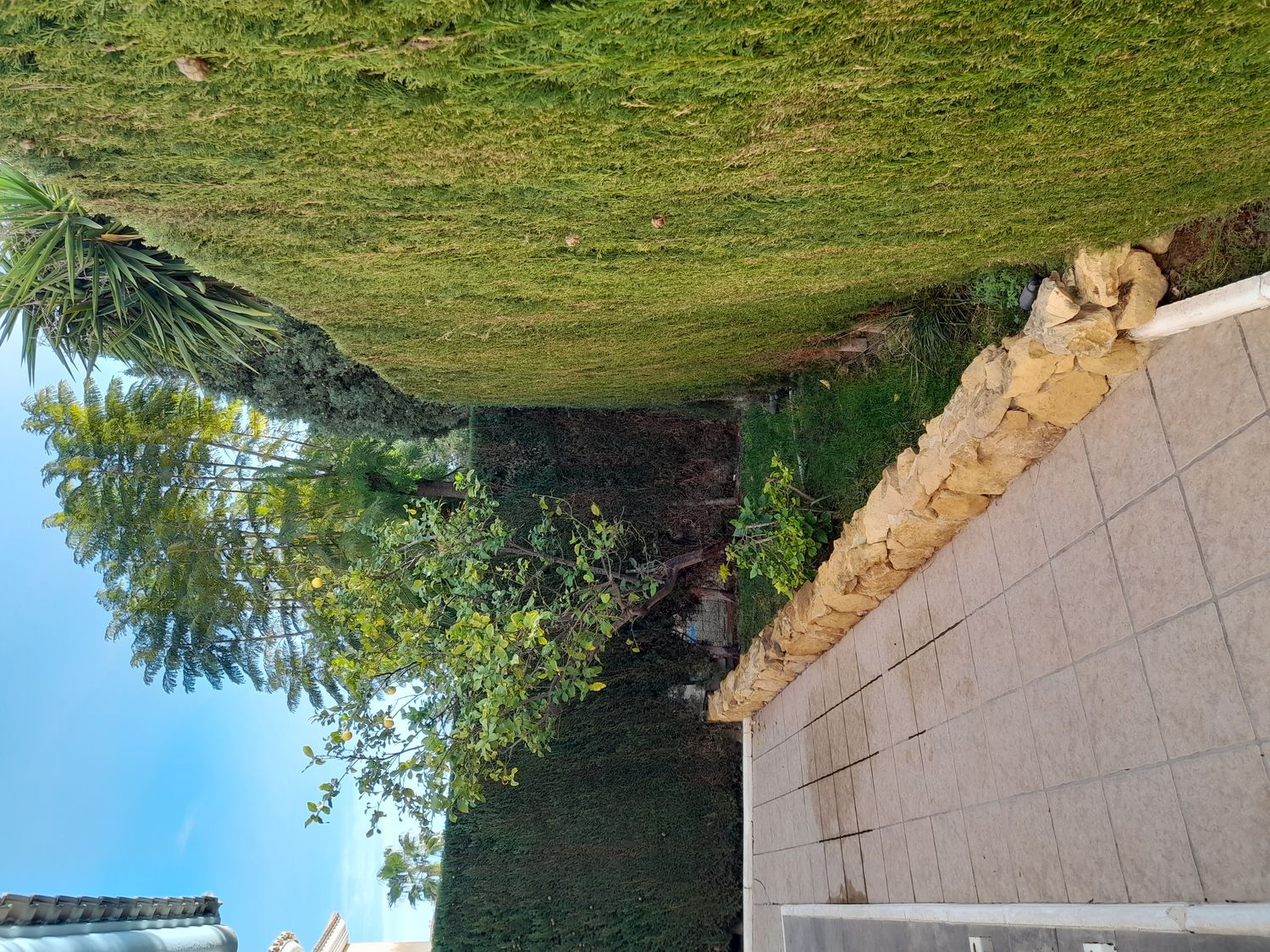 Casa independiente en calle del Vespre, 9 -11 - Foto 6