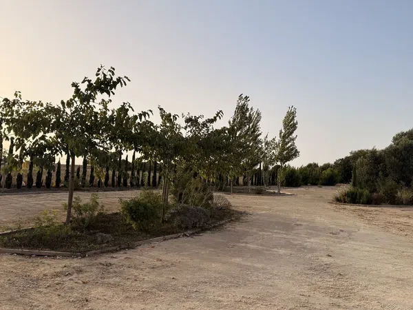 Finca rústica en Ca-4201 s/n, Barrio Nuevo, Barrio Nuevo - Foto 15