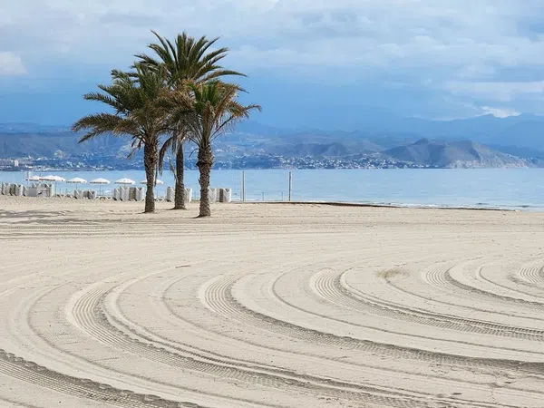 Piso en Avenida de la Costa Blanca, 146, Playa de San Juan - Foto 12
