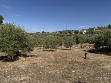 Finca rústica en  Prolongación Cañada del Tovar 34 - Foto 3