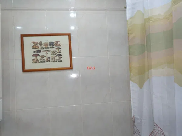 Piso en Calle de Donoso Cortés, 39, Arapiles - Foto 21