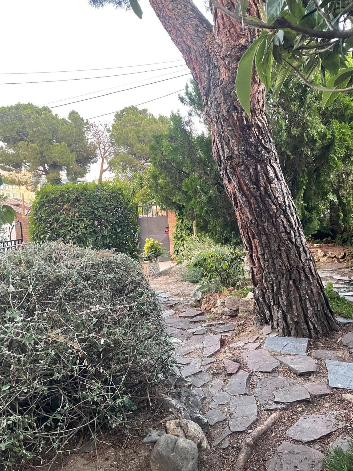 Chalet pareado en Calle de Enrique López García, 24, Arroyo de la Vega, Arroyo de la Vega - Foto 5