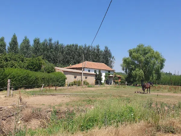 Finca rústica en Calle El Molino, 1 - Foto 1