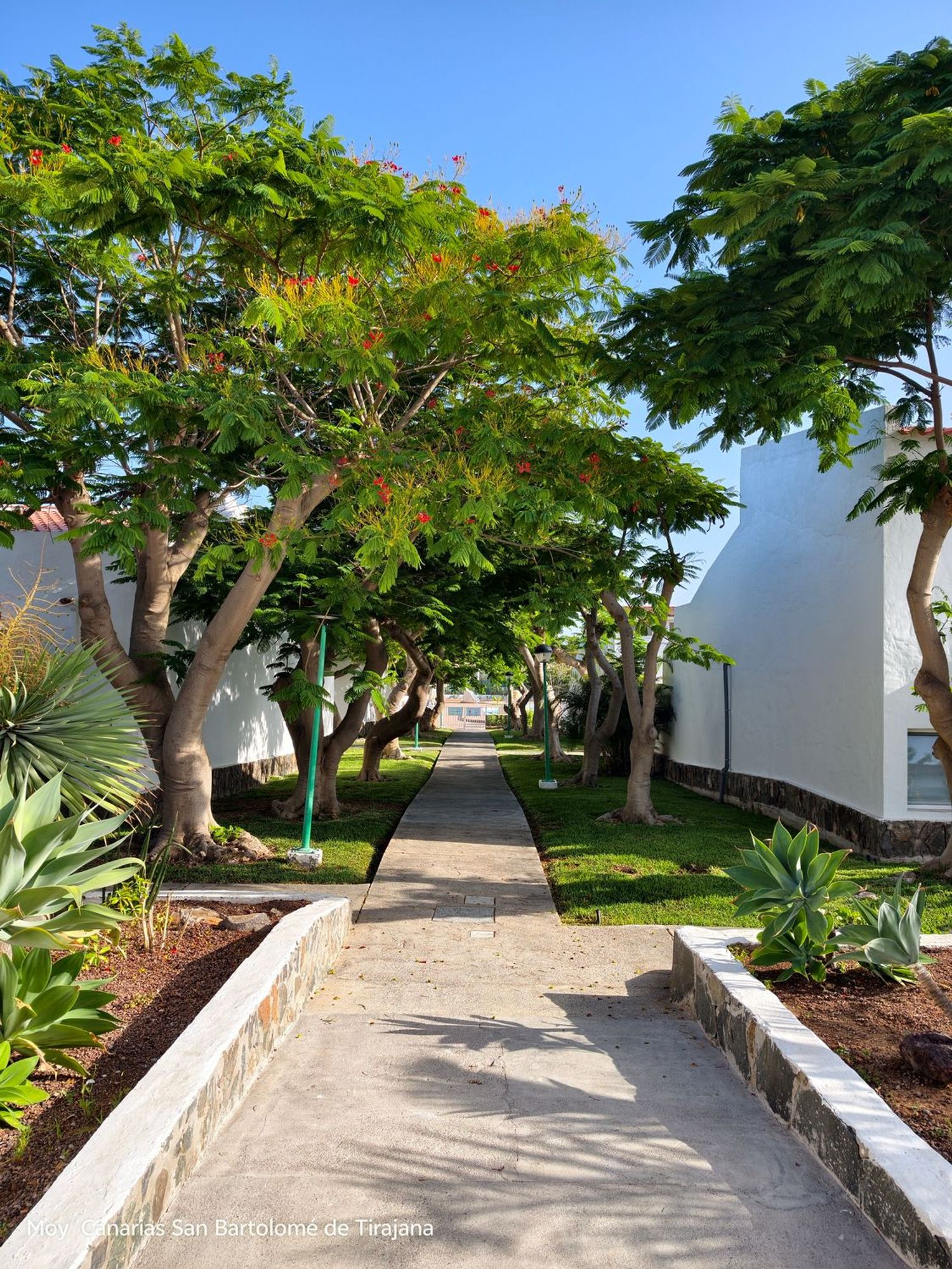 Chalet adosado en Avenida Touroperador Finnmatkat, 9, Maspalomas-Meloneras, Maspalomas-Meloneras - Foto 39