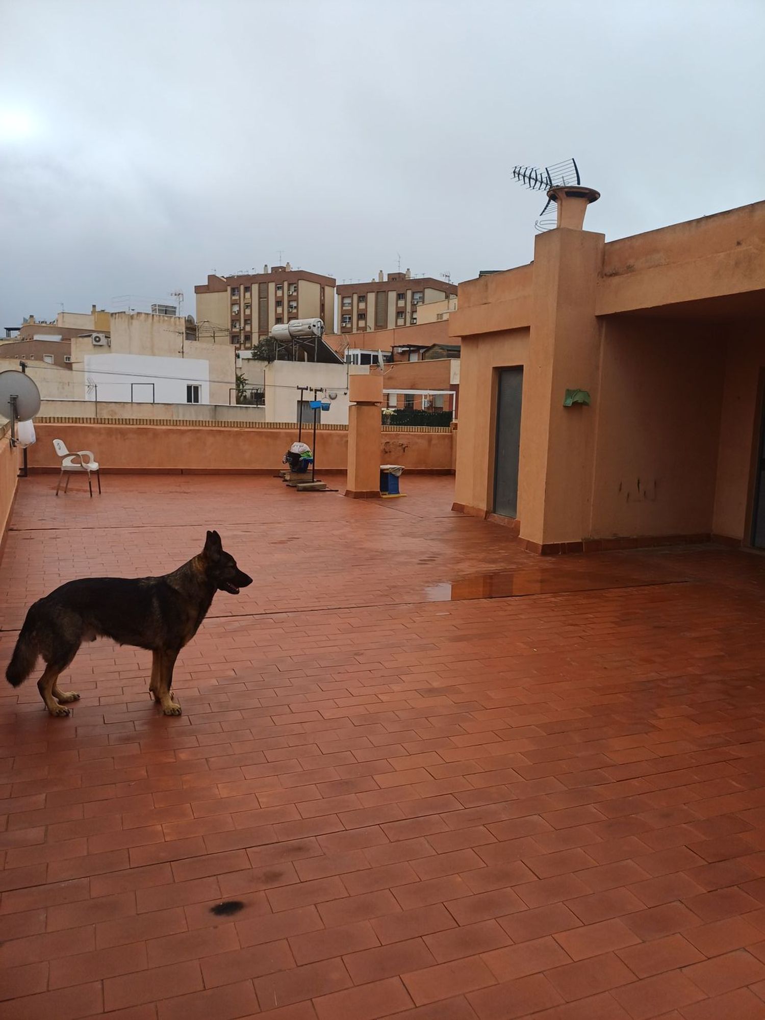 Piso en Calle Alvarez de Sotomayor, 18 - Foto 24