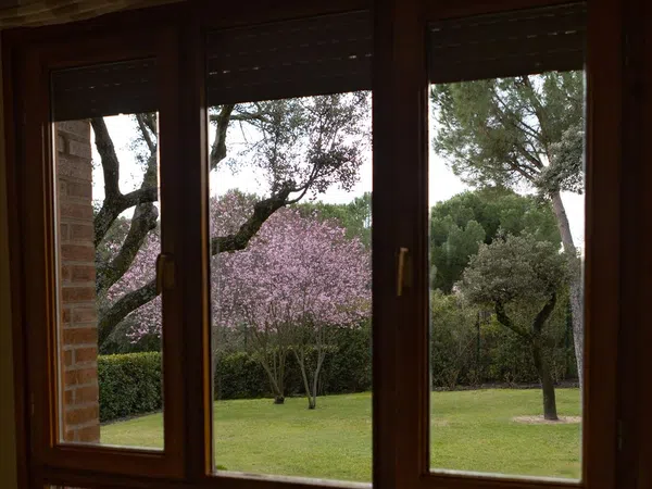 Casa independiente en Urb. monte alina Barrio Montealina - Foto 4