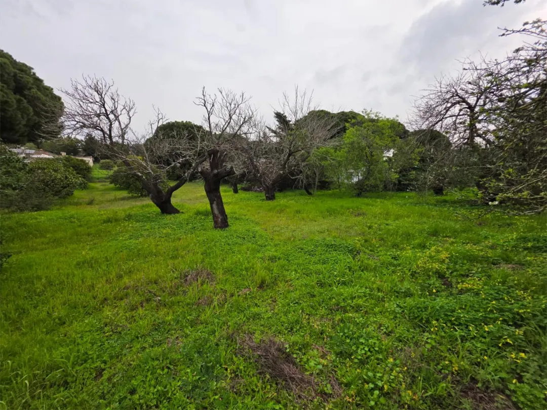 Finca rústica en  Camino del Guadalmesí 9 - Foto 27