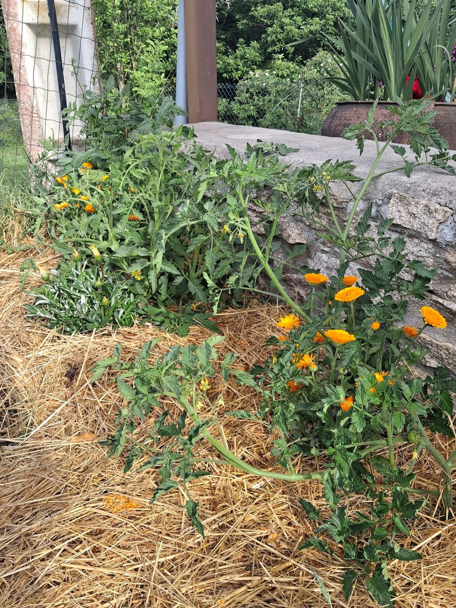 Casa rural en Friol, 1 - Foto 24