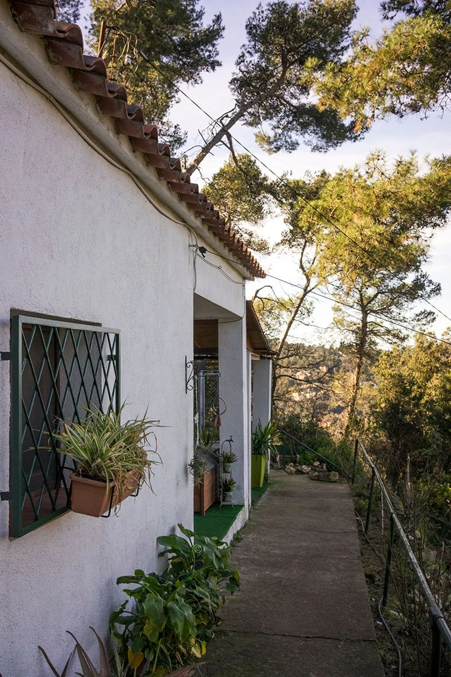Casa independiente en calle Lila, 16 - Foto 1