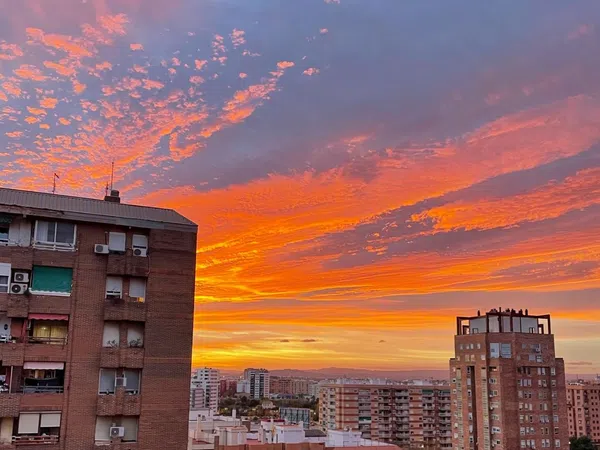 Piso en Calle d'Ángel Villena, 13, Na Rovella - Foto 13