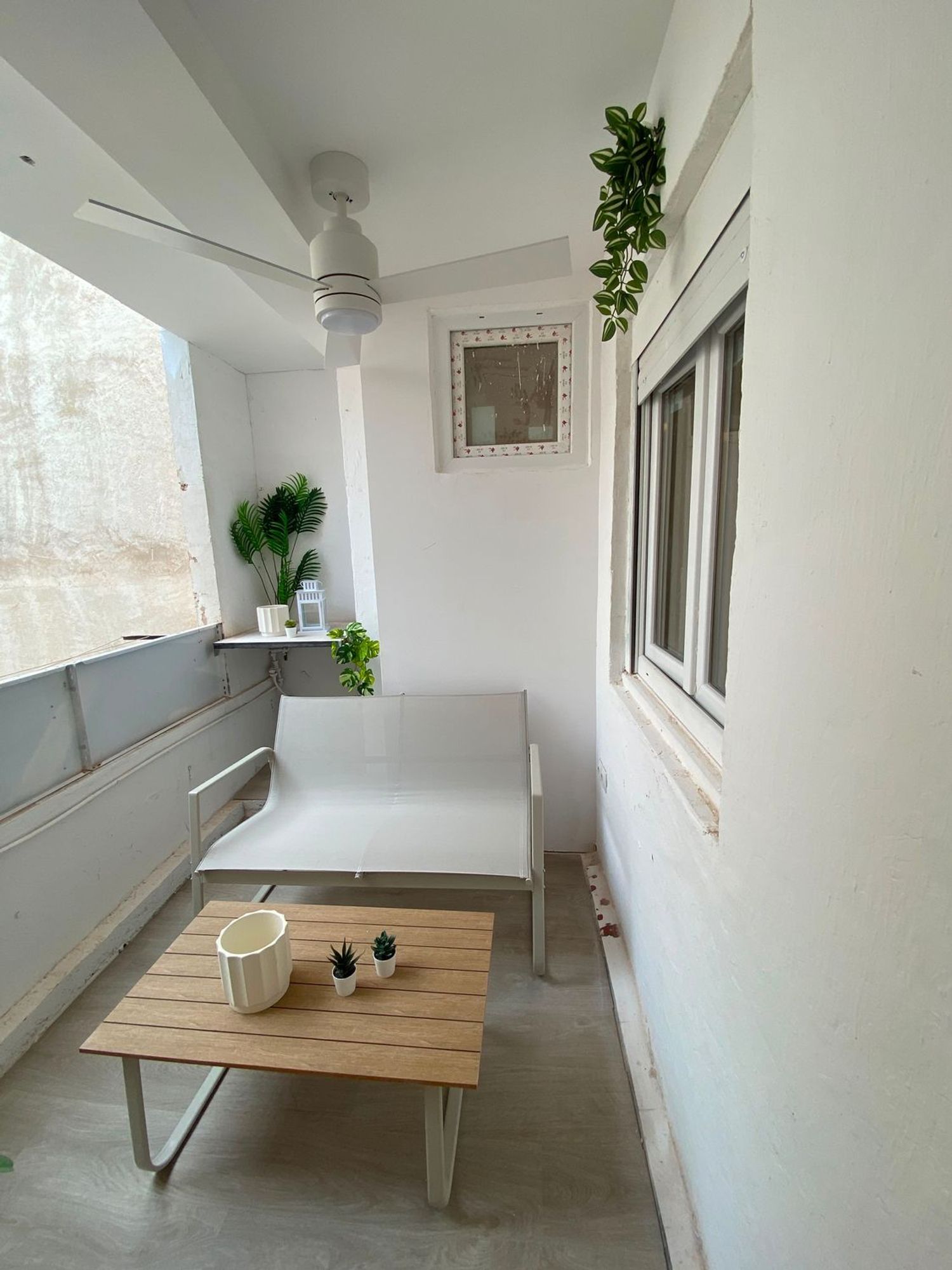 Estudio en Calle General Espartero, 25, Carolinas Altas - Foto 3