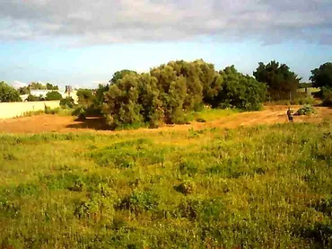 Finca rústica en  Pago Hozanejos 326 - Foto 5