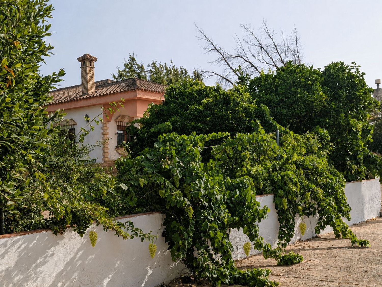 Finca rústica en Camino de Liaño, 3, Las Canteras - El Almendral, Las Canteras - El Almendral - Foto 38