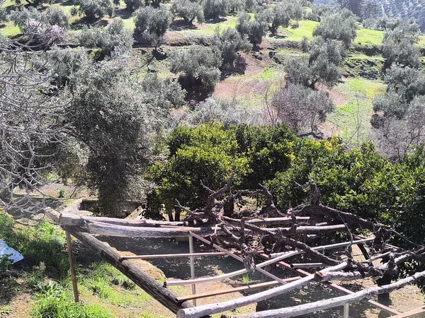 Cortijo en Via Sin Nombre s/n - Foto 26