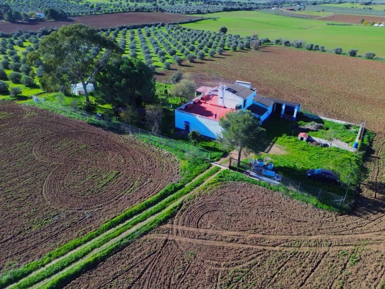 Cortijo en Ex-107 s/n - Foto 19