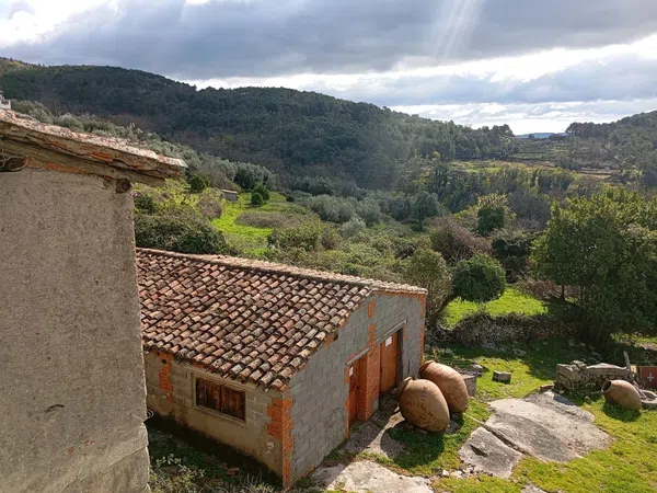 Casa de pueblo en Flores, 11 - Foto 19