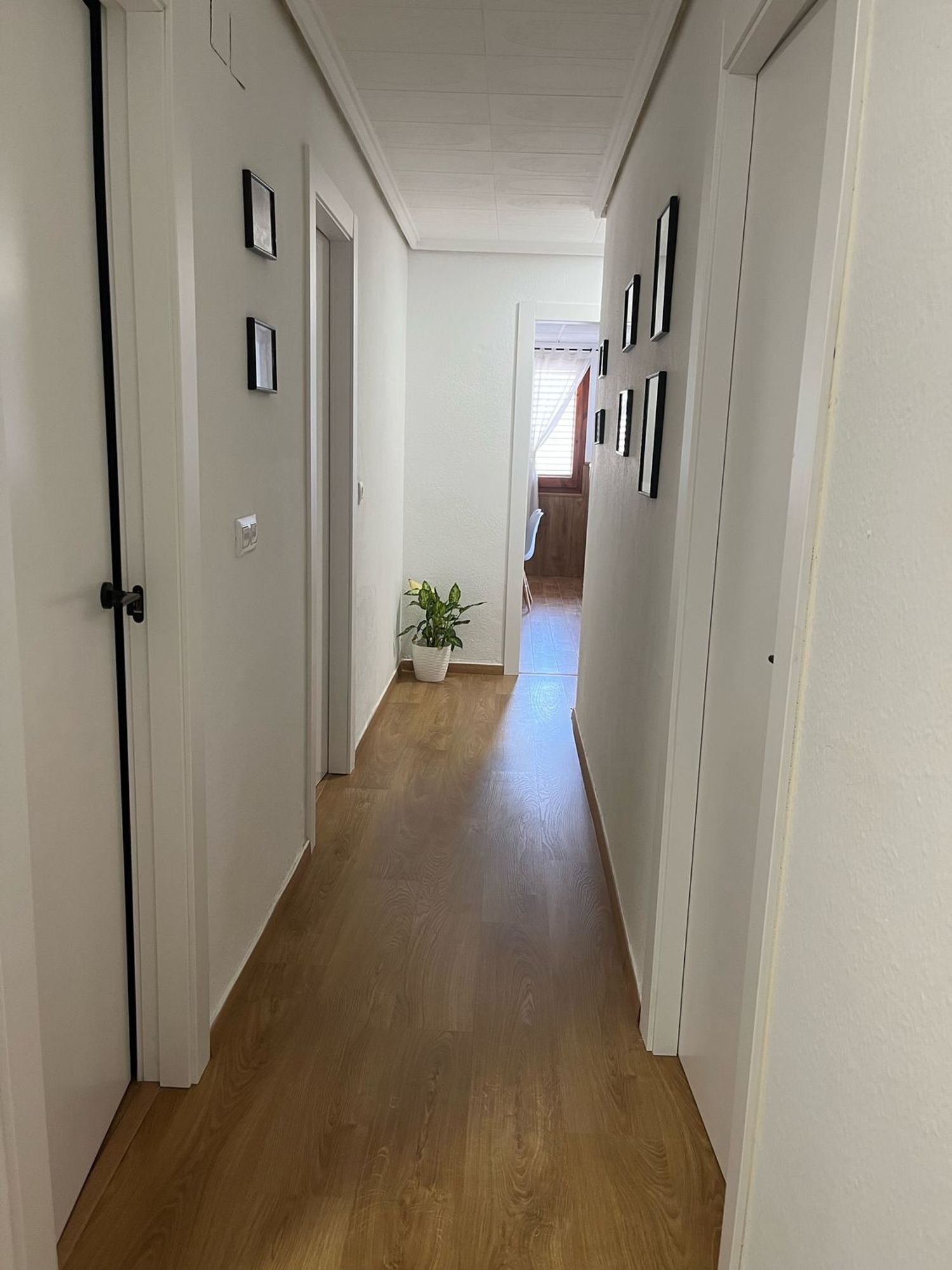 Estudio en Avenida de Andalucía, 164 - Foto 3