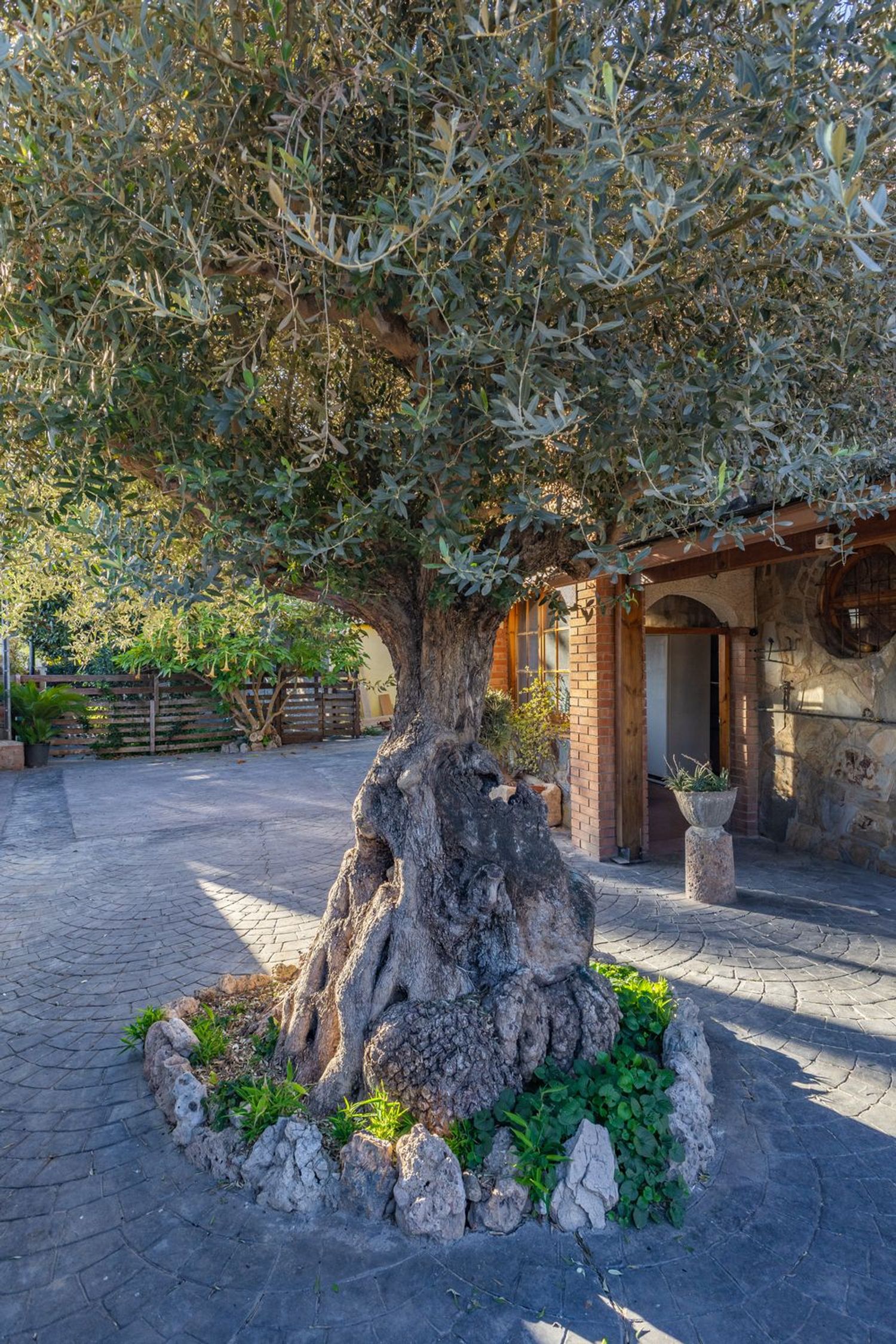 Casa independiente en Rubi, 28 - Foto 39