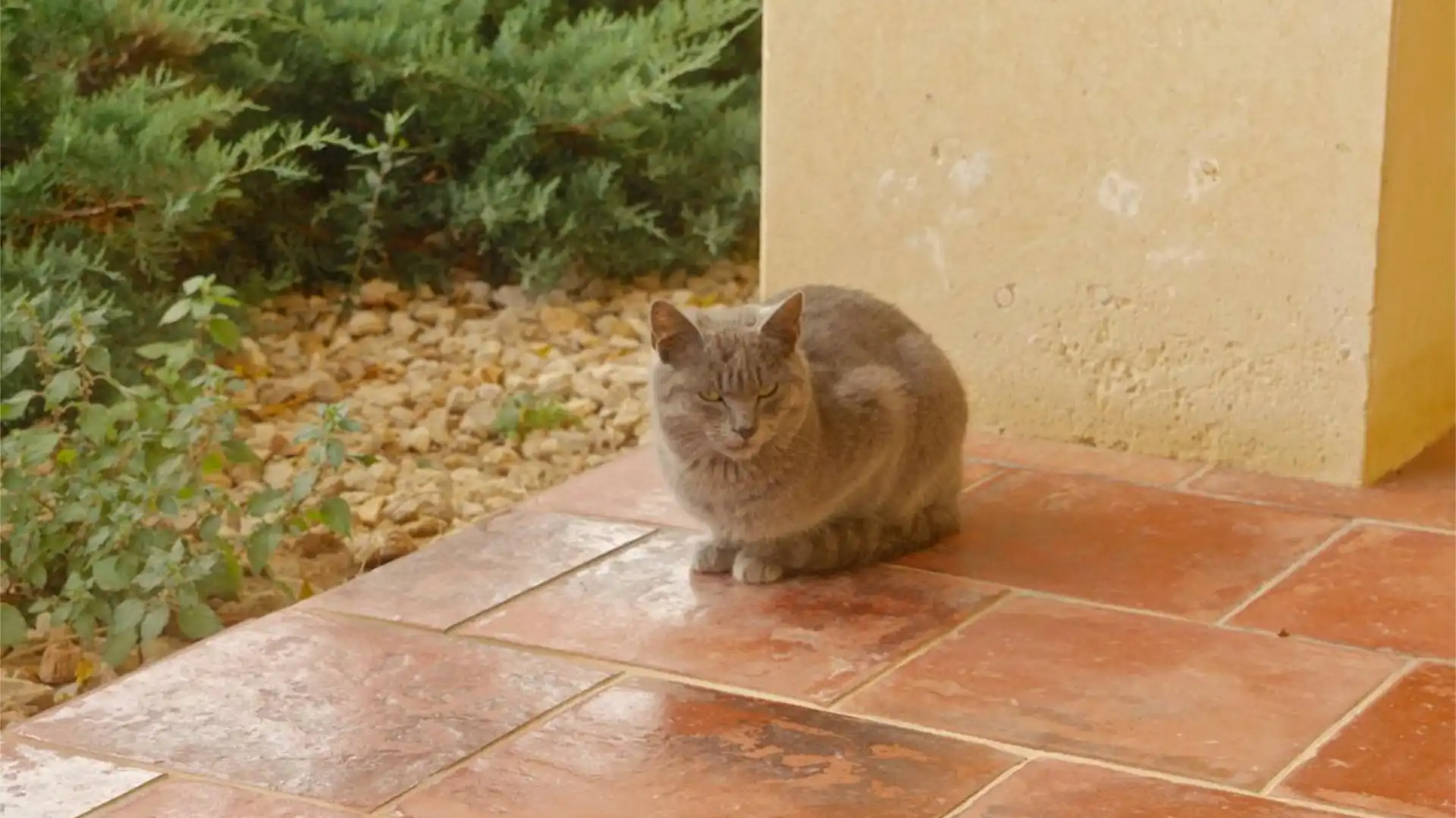 Chalet en  Calle Benimeli 1 - Foto 33