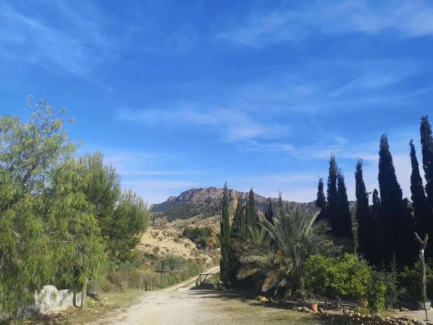 Casa o chalet independiente en Camino de la Trinidad del rodeo 49 Beniaján 30570 Murcia, 49, Beniaján - Foto 32