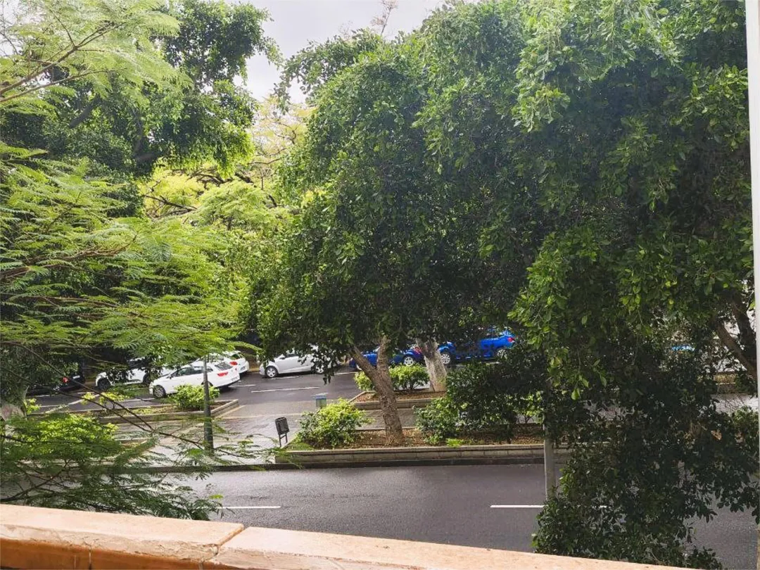 Piso en  Avenida de Benito Pérez Armas 4 - Foto 2