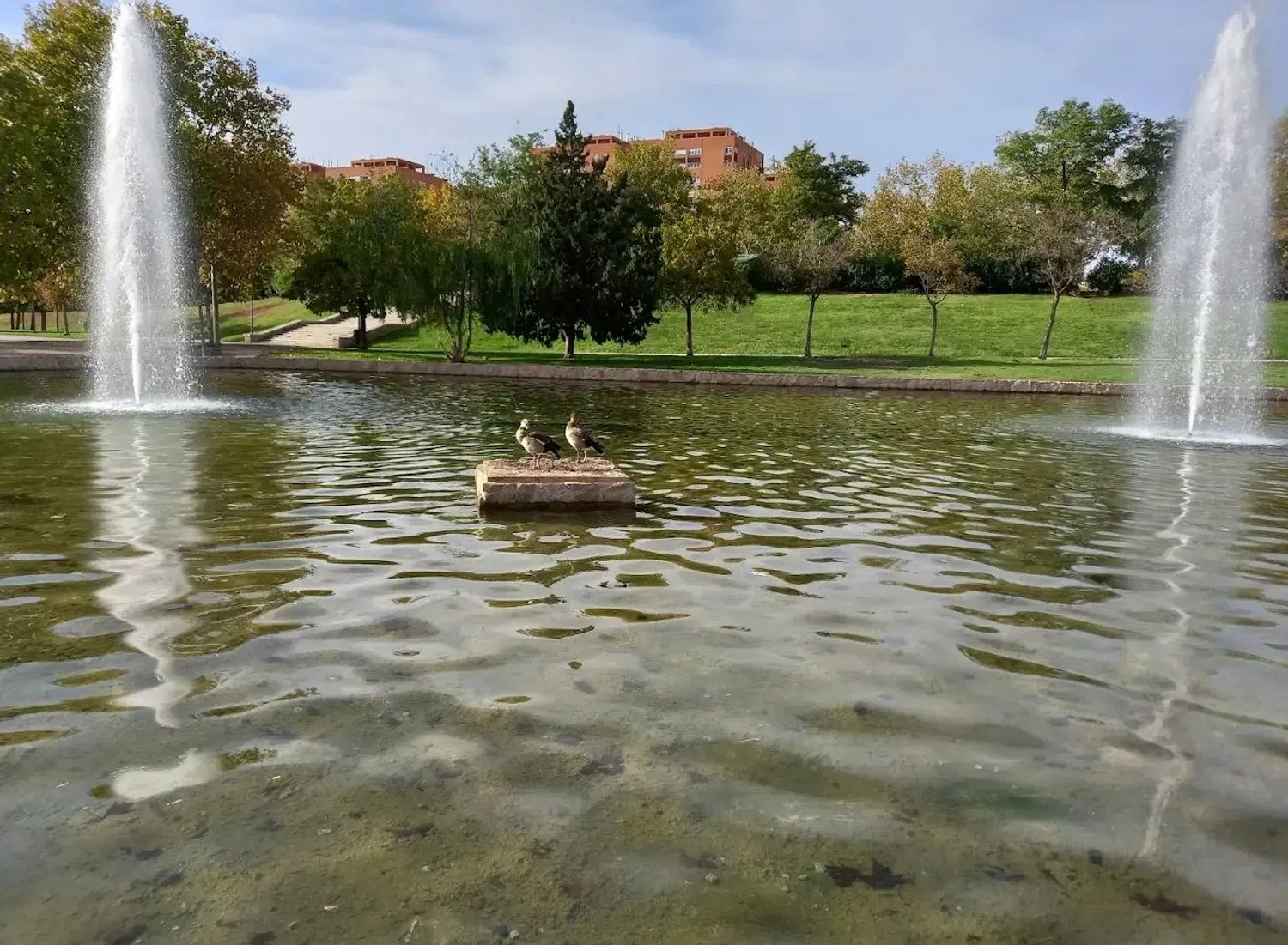 Piso en calle de Manuel Laguna, 30 - Foto 30