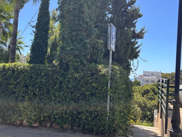 Estudio en Paseo De Illetas, 32, Illetes, Illetes - Foto 16
