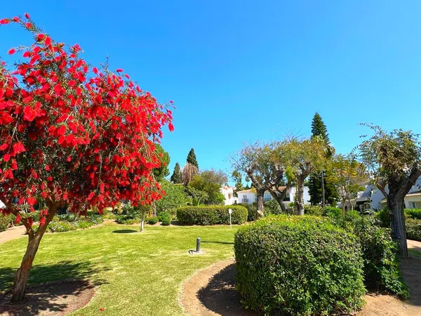 Chalet adosado en calle Hortensia, 137 b - Foto 21