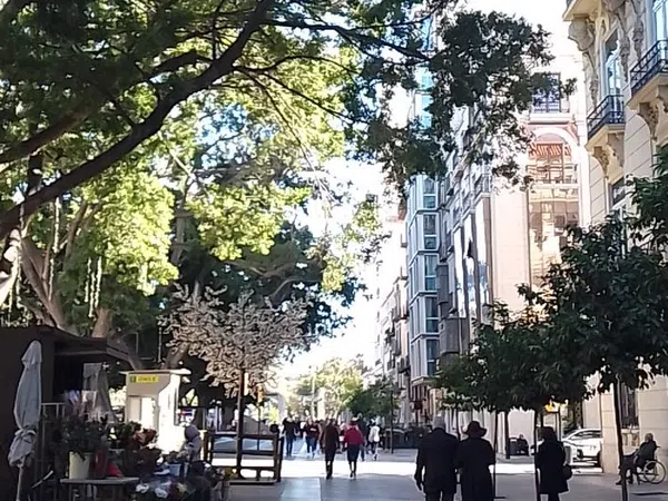 Piso en Calle Alderete, 8, El Molinillo - Capuchinos - Foto 10