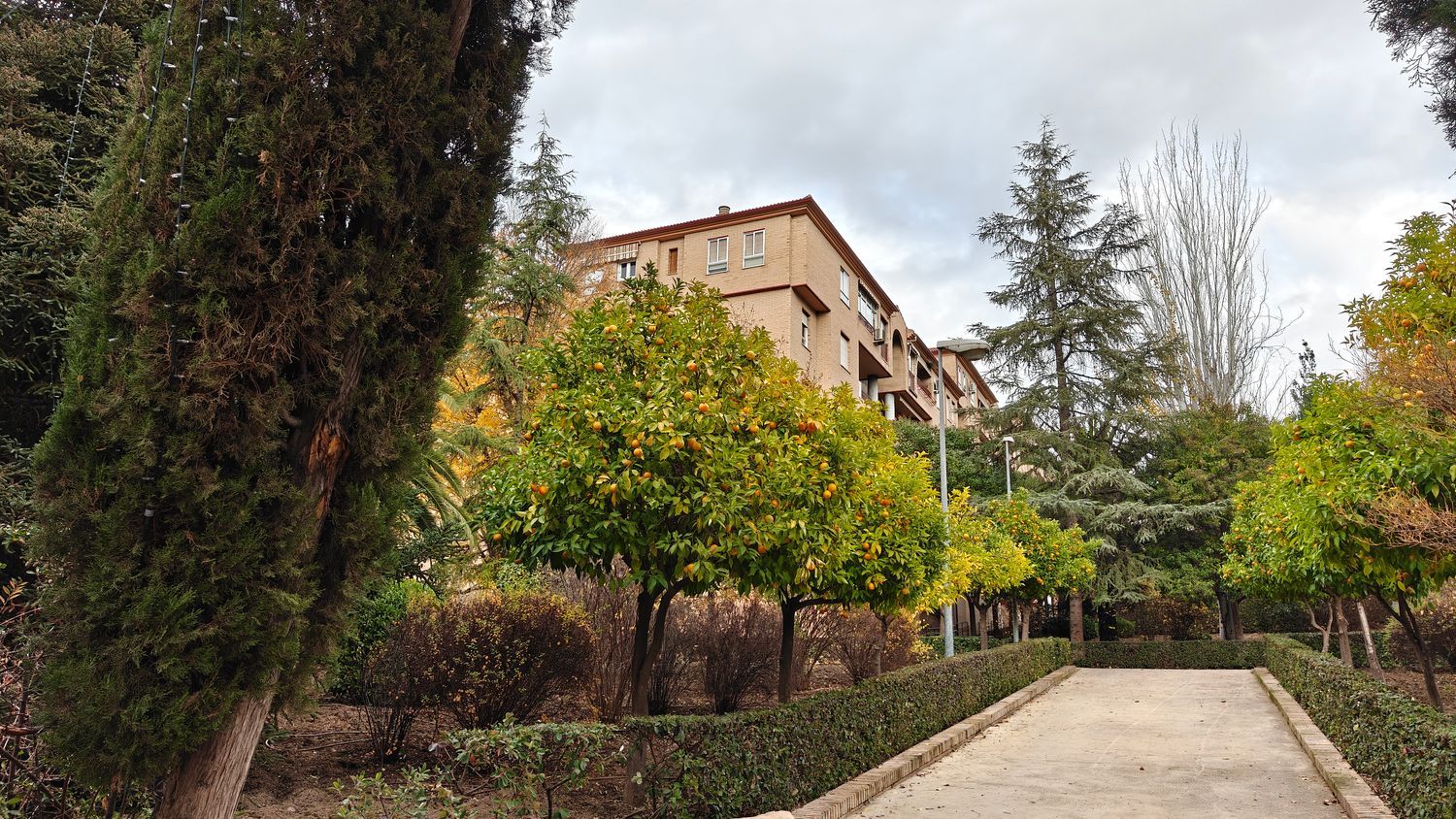 Piso en Avenida de Pulianas, 24, San Francisco Javier, San Francisco Javier - Foto 20
