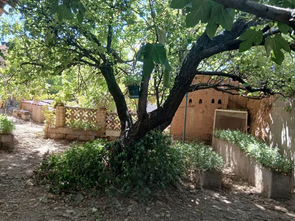 Casa de pueblo en Calvo Sotelo, 20 - Foto 20