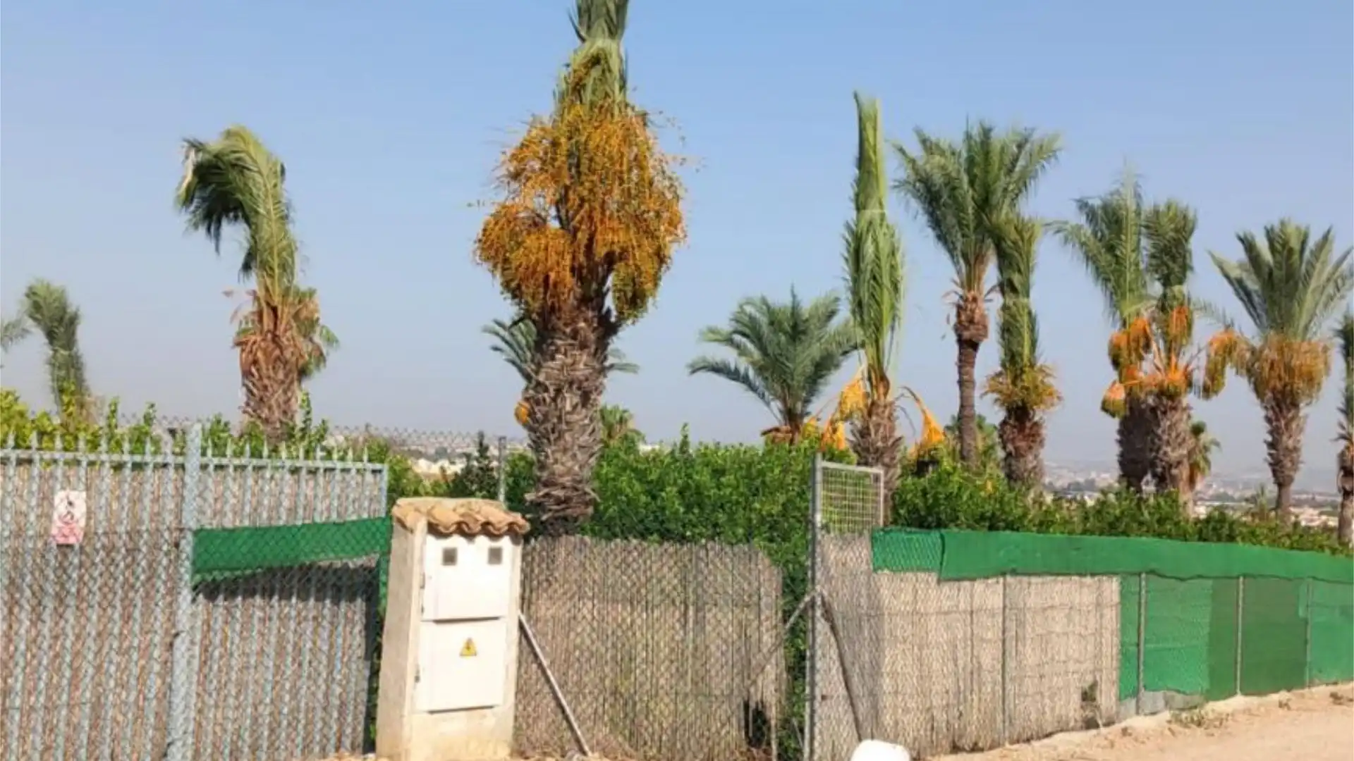 Piso en  Camino de Monteazahar 63 - Foto 9