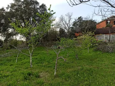 Planta baja en  Rúa Doutor Martínez Rodríguez 22 - Foto 38