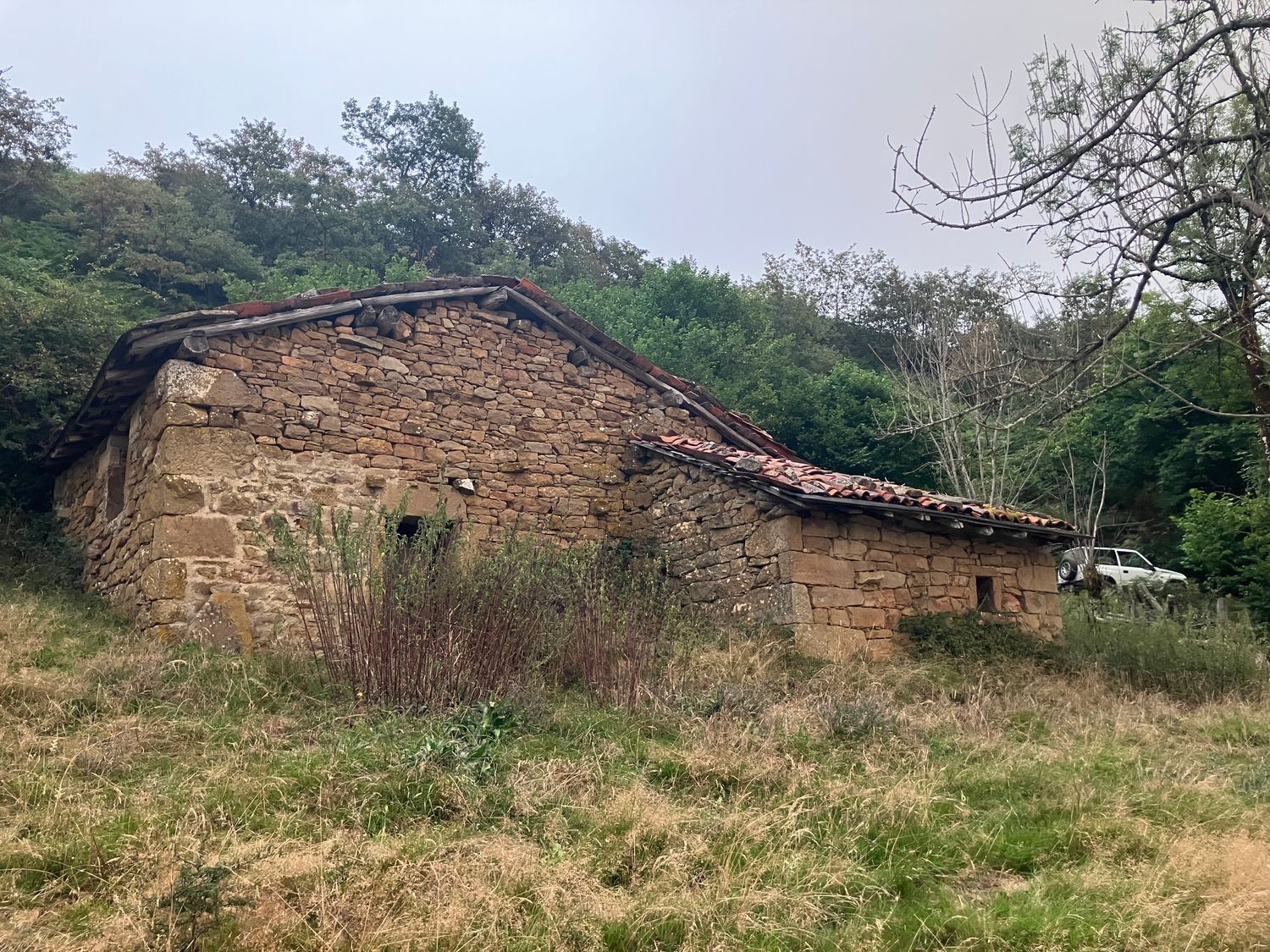 Finca rústica en Cebollin. Caso (asturias) s/n - Foto 2