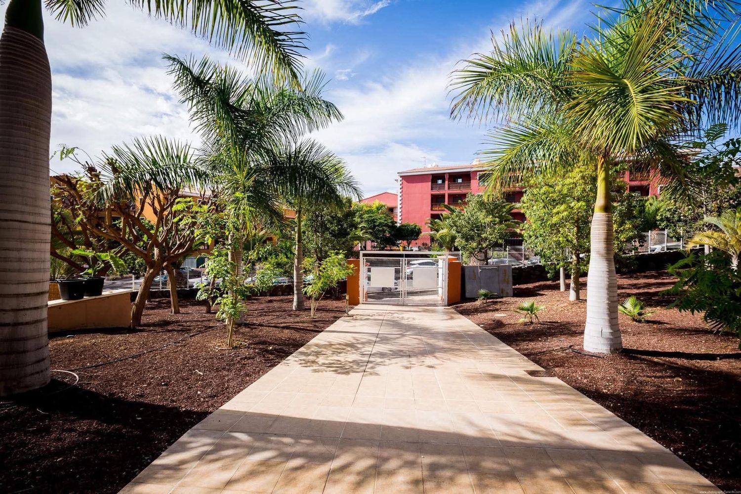 Piso en Calle Jilguero, 14, Palm Mar, Palm Mar - Foto 17
