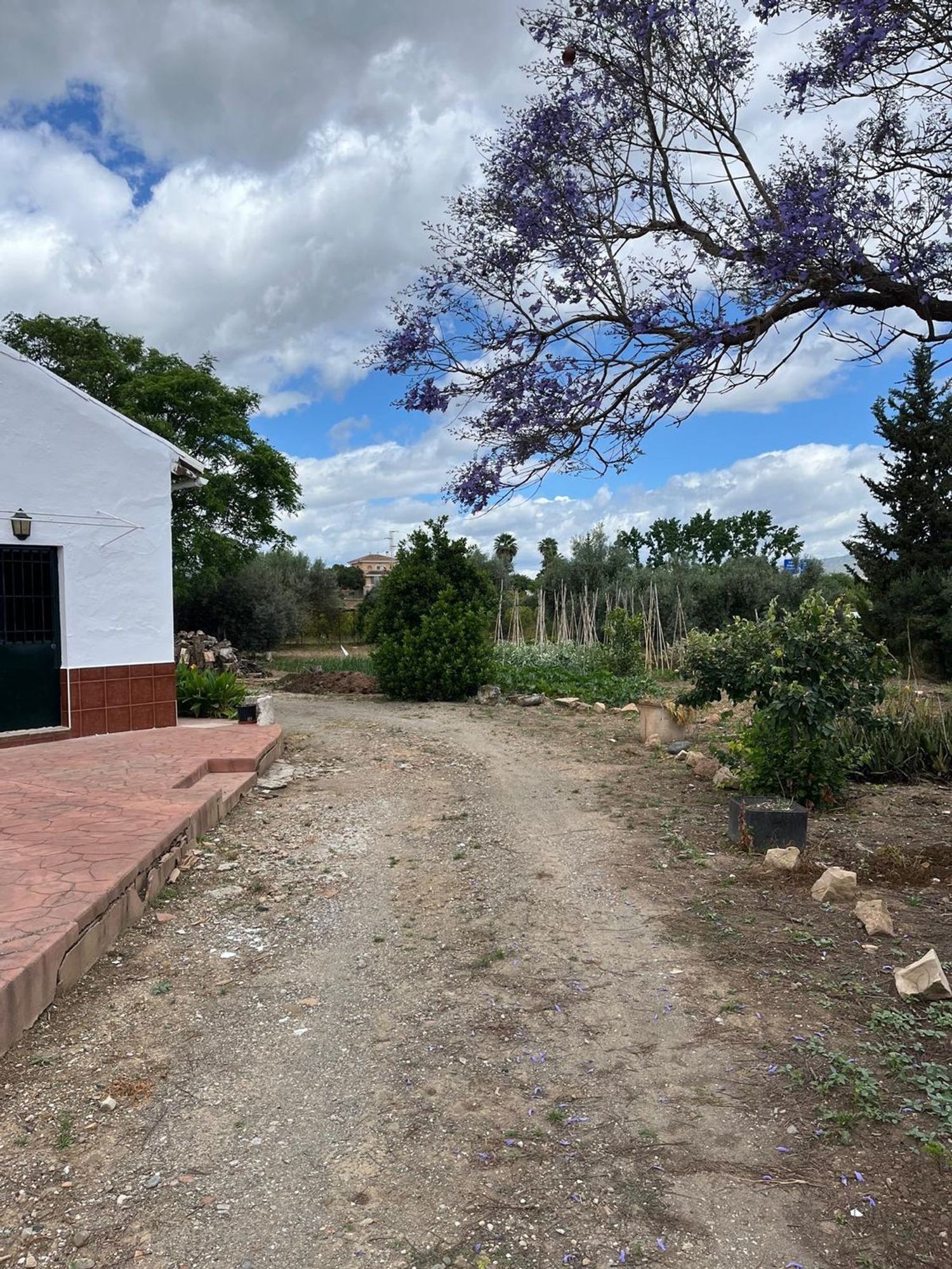 Finca rústica en Camino Cortijo Rebollo s/n - Foto 10