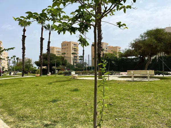 Piso en Agustín Bertomeu, 4, El Palmeral-Urbanova-Tabarca - Foto 22