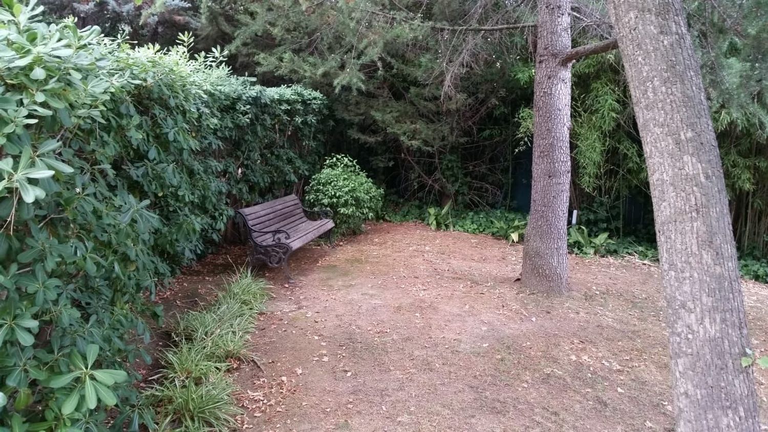 Ático en Eixample - Foto 19