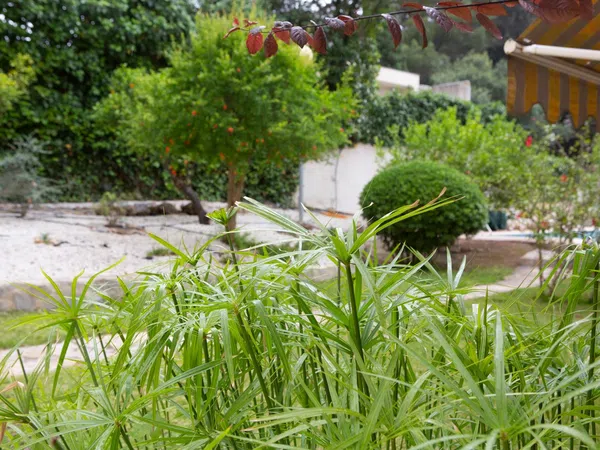 Piso en calle Olivos, 17 - Foto 14