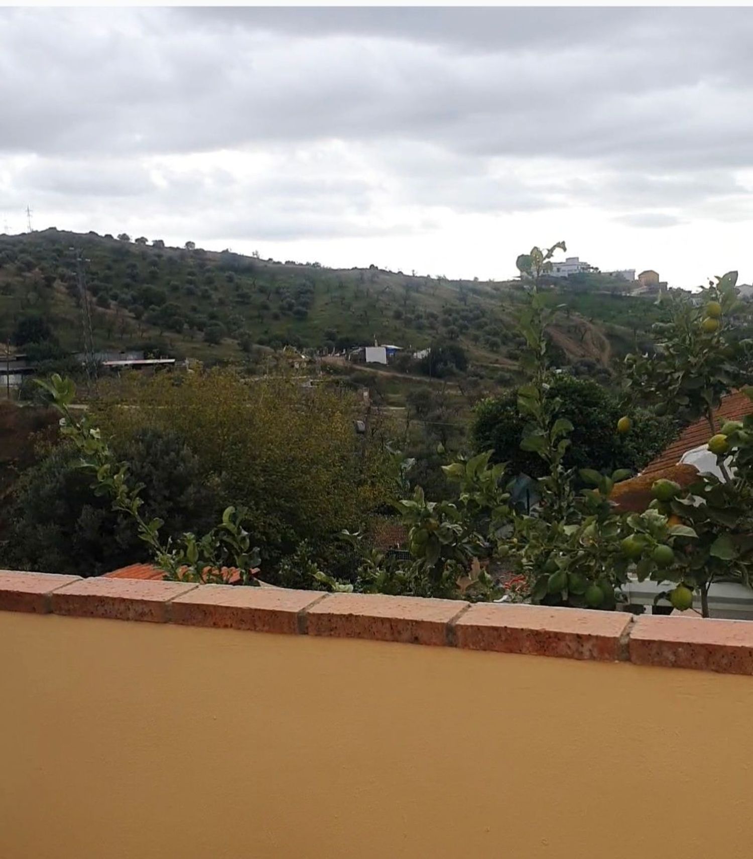 Chalet pareado en Calle Remo, 4, Fuente Alegre - El Chaparral - Los Morales - Foto 14