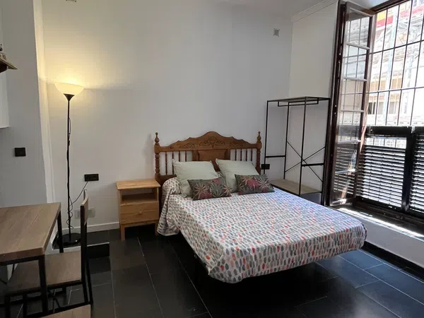 Estudio en Calle Hinestrosa, 19, La Merced - Foto 2