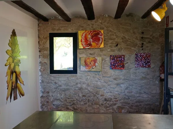 Masía en Masía en Camino salva-aigües, 96, Urbanizaciones, Urbanizaciones - Foto 6